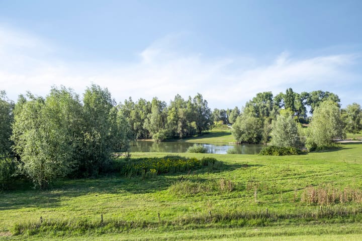 Photo 49 of Waalbandijk 20