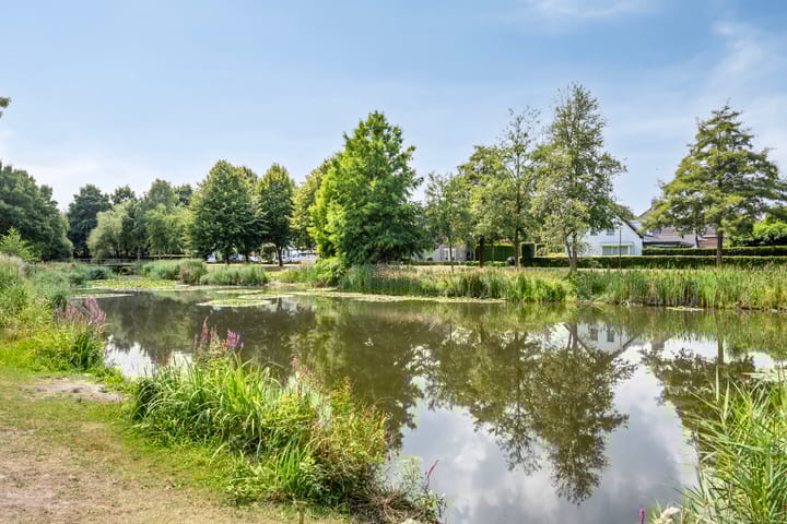 Foto 50 van Waterlelie 5