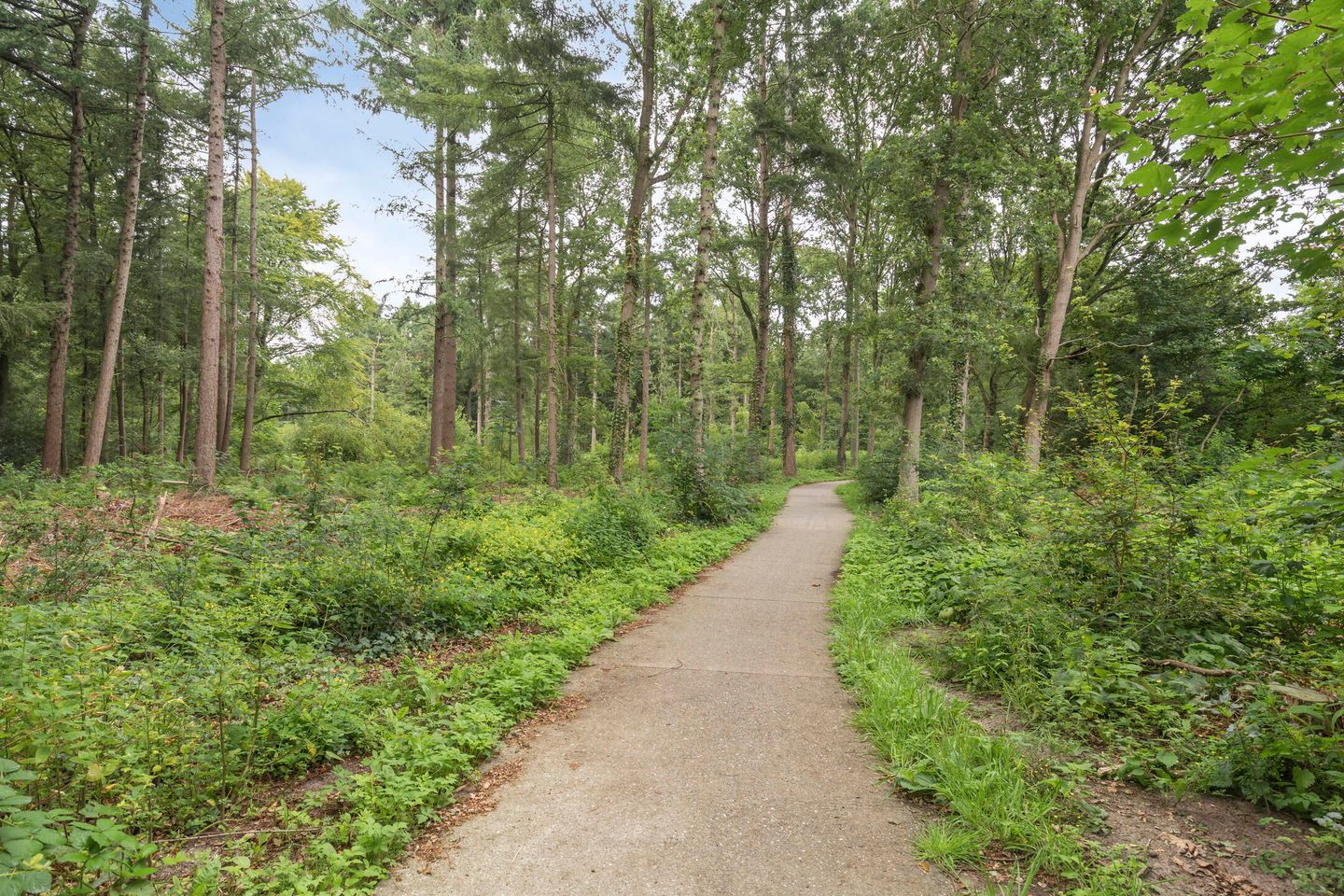 Foto 35 van Mr. C.L. Kniphorststraat 59