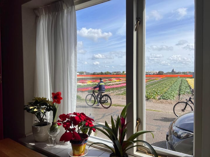 Foto 10 van Torenlaan 7