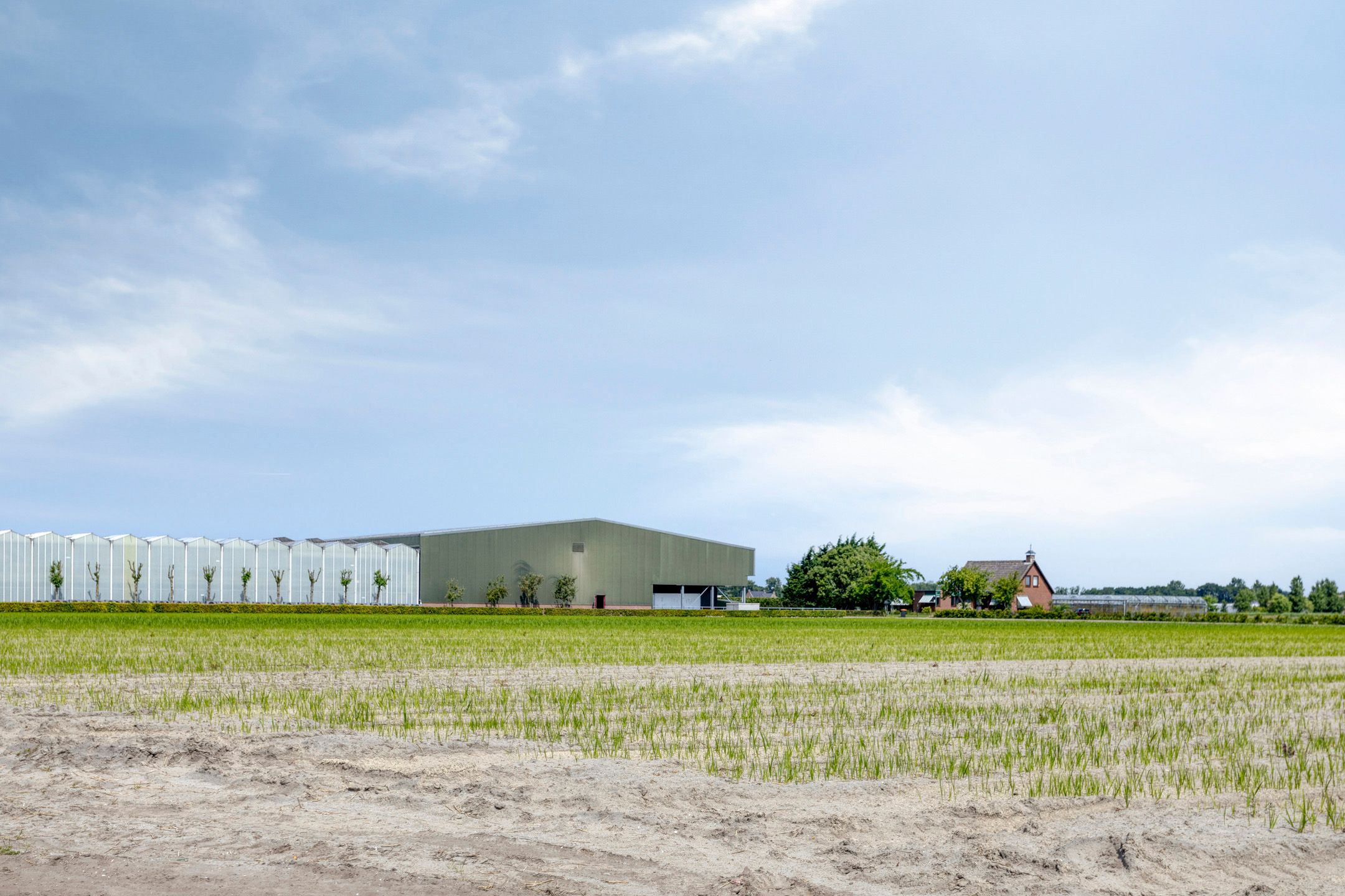 Foto 75 van Torenlaan 7