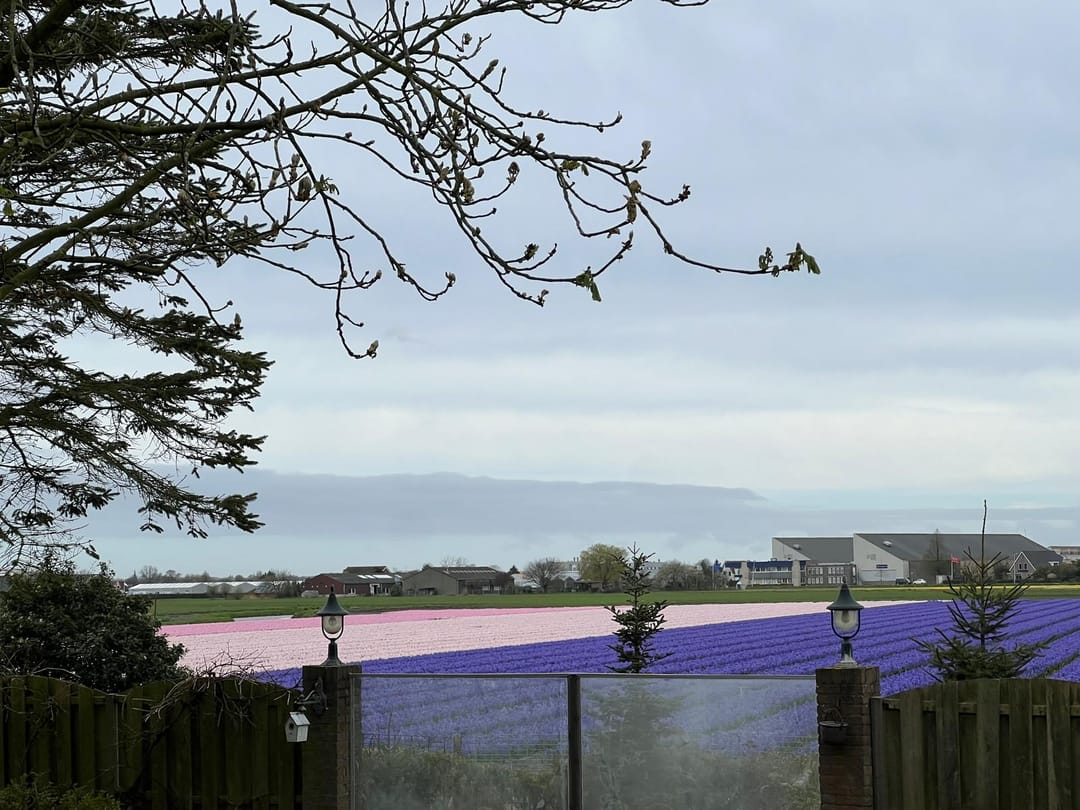 Foto 76 van Torenlaan 7