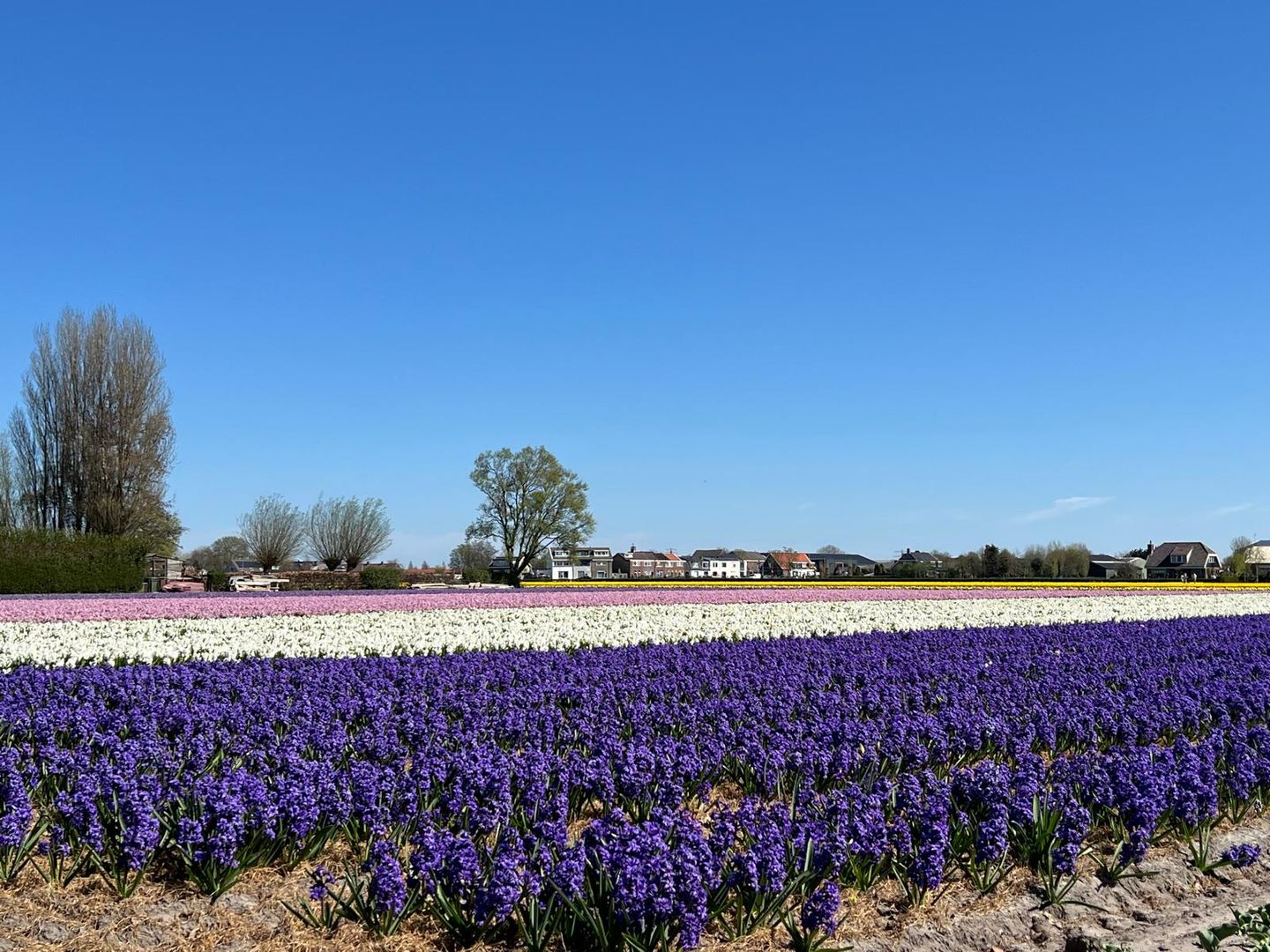 Foto 79 van Torenlaan 7