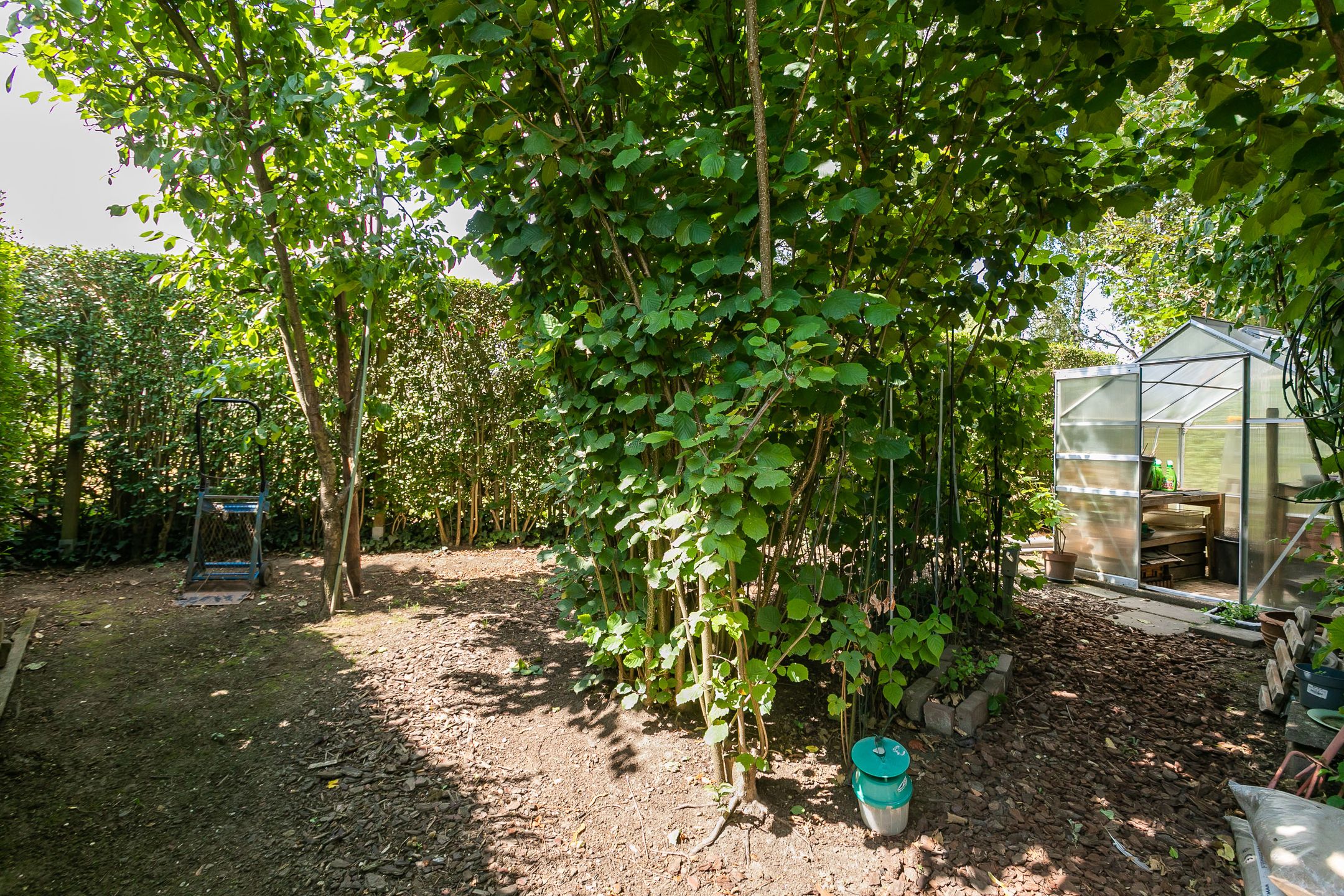 Foto 48 van Hommerterweg 223