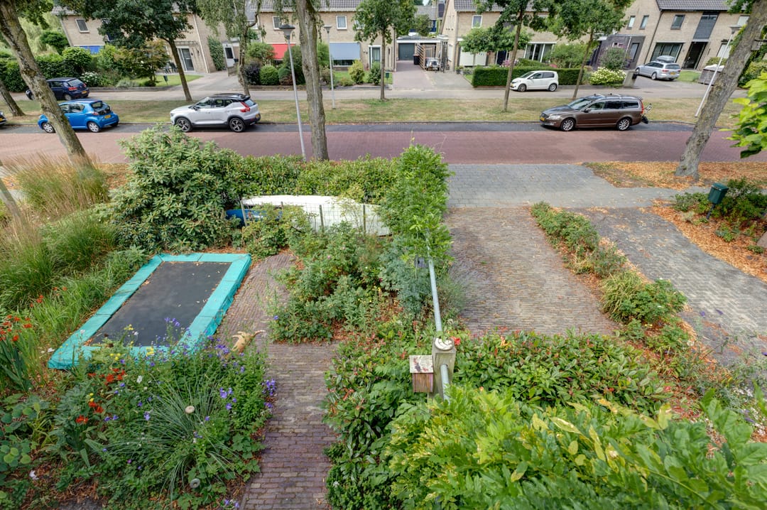 Foto 26 van Erasmuslaan 8