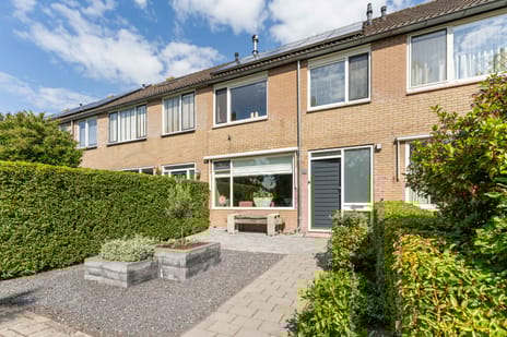 undefined main image