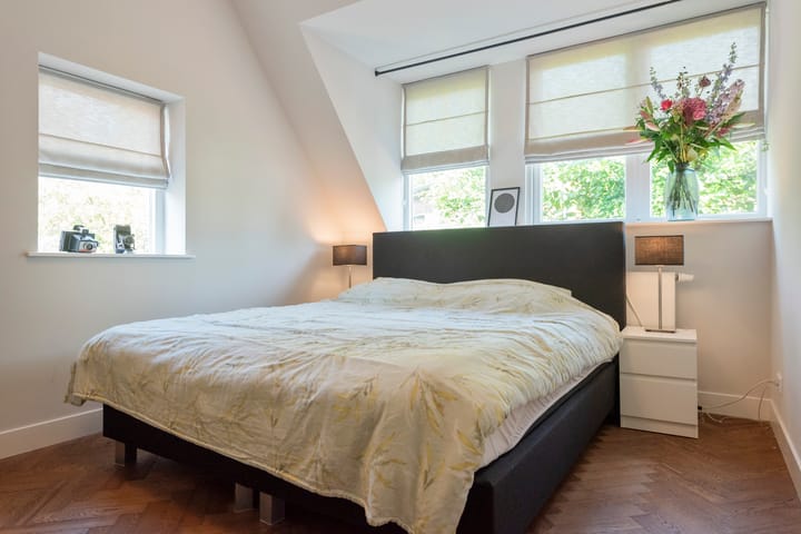 Foto 36 van Schaepmanlaan 34