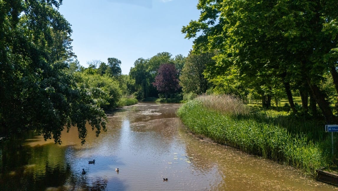 Photo 35 of Burg. Verwielstraat 25