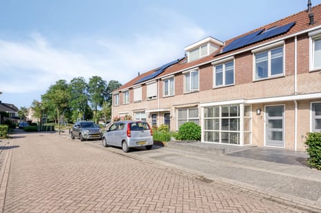 undefined main image