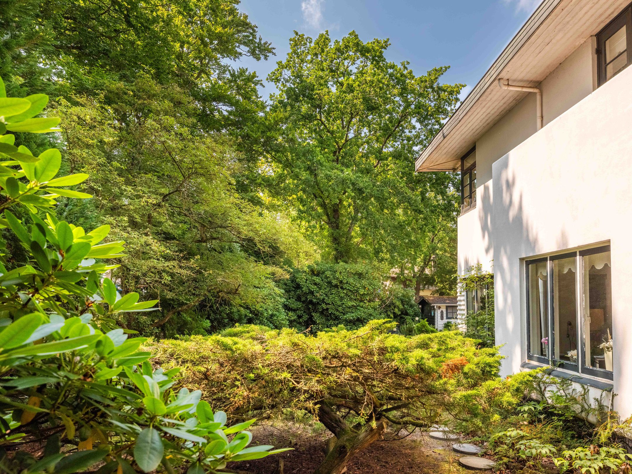 Foto 30 van Hertenlaan 8