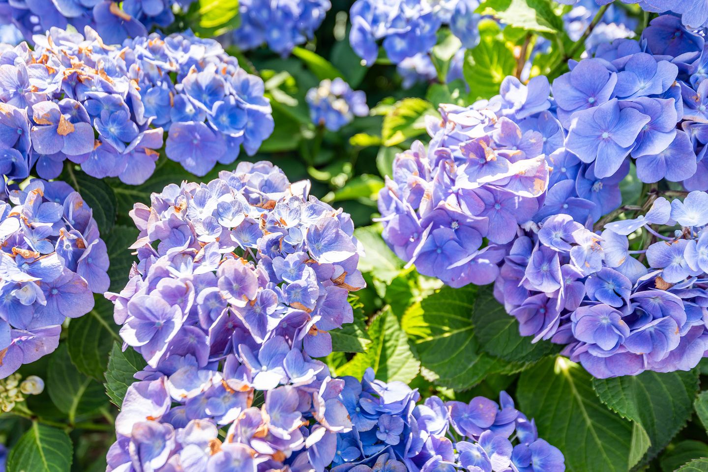 Foto 40 van Bijvankskamp 14