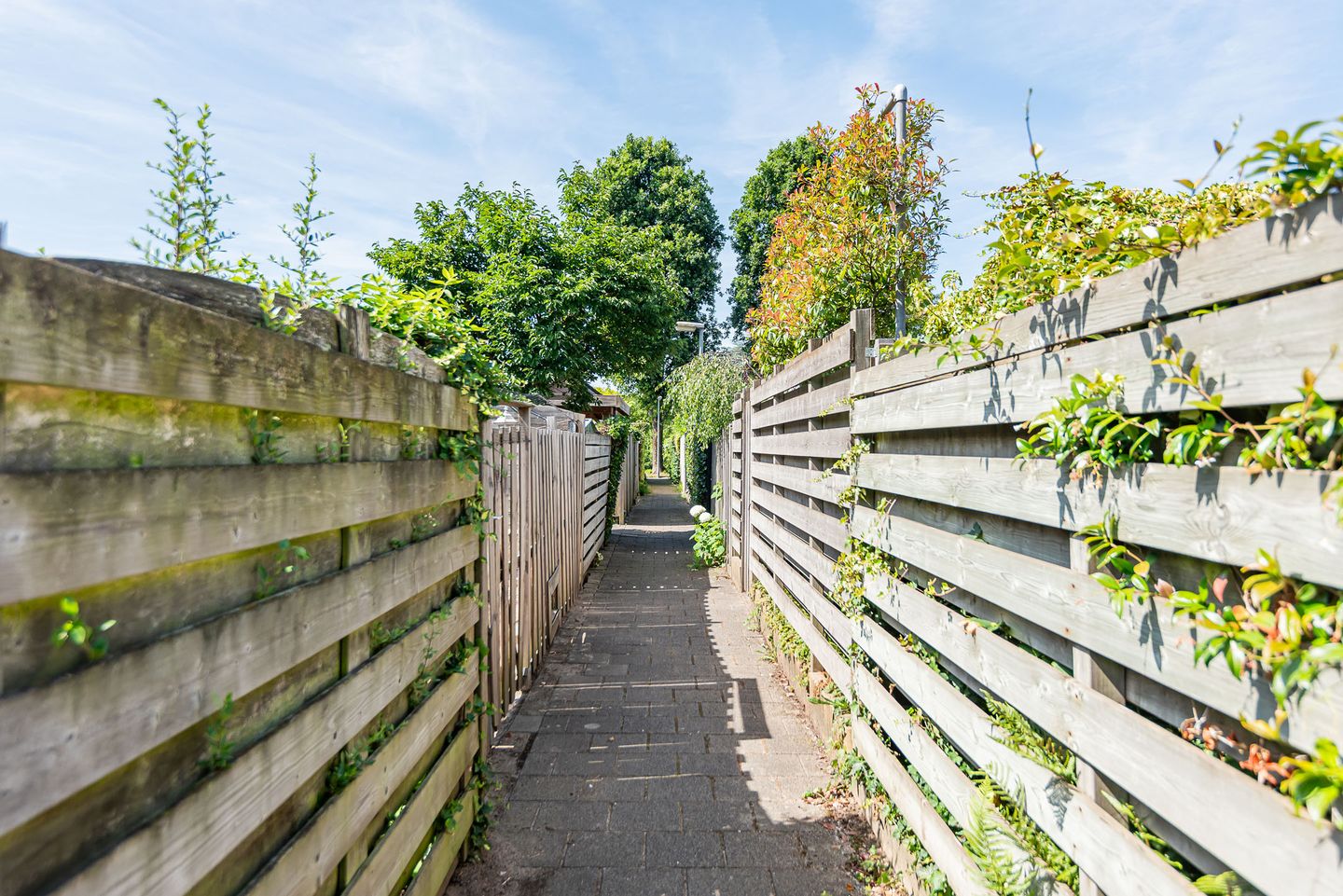 Foto 44 van Bijvankskamp 14