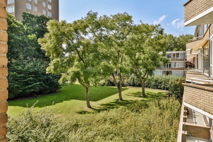 Foto 13 van Meander 255