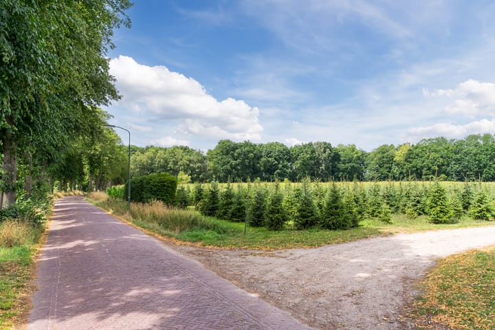 Foto 50 van St. Jorisstraat 14