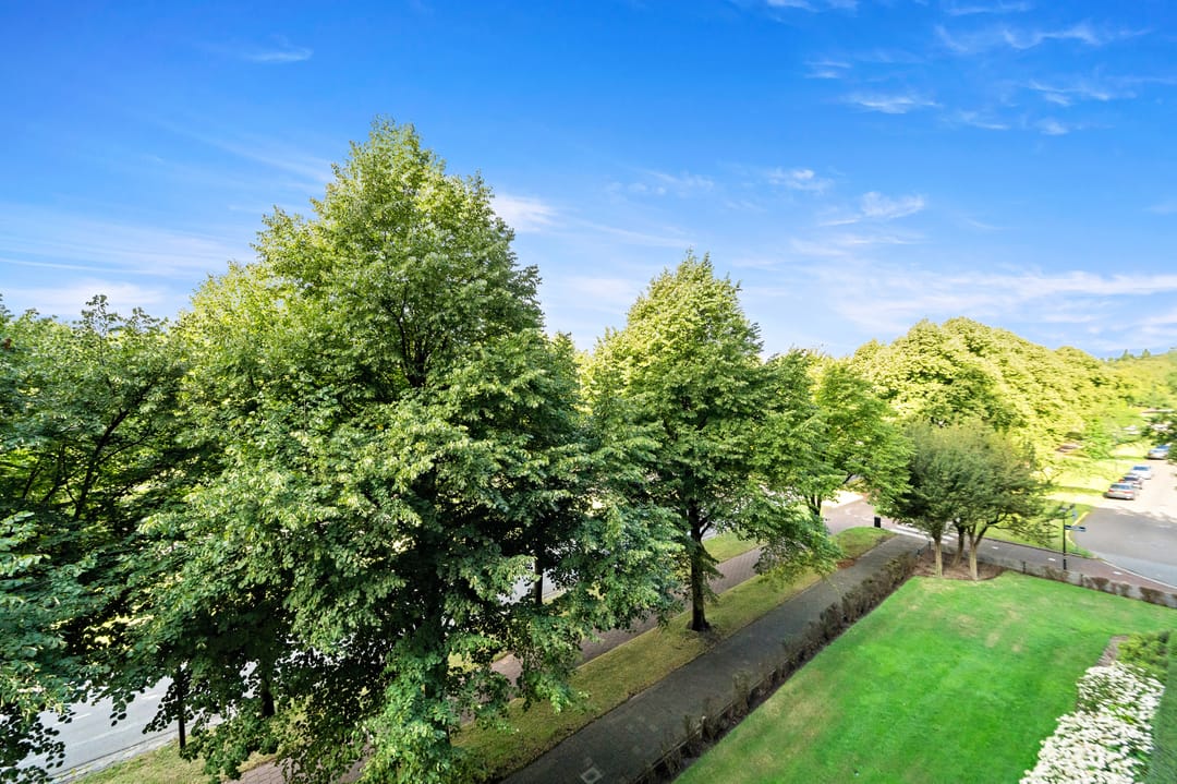 Foto 13 van Thomas Jeffersonlaan 551