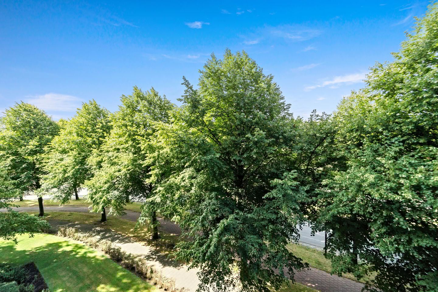 Foto 14 van Thomas Jeffersonlaan 551