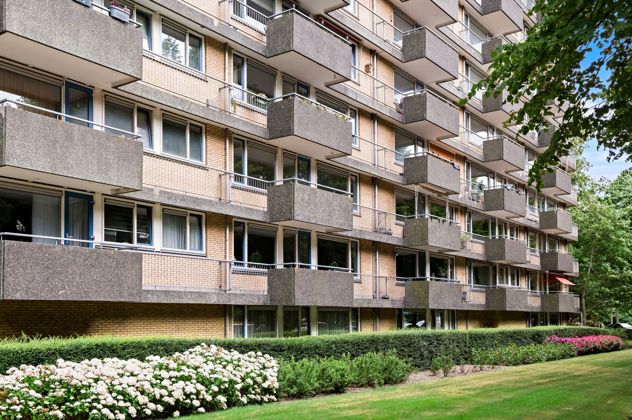 Foto 33 van Thomas Jeffersonlaan 607