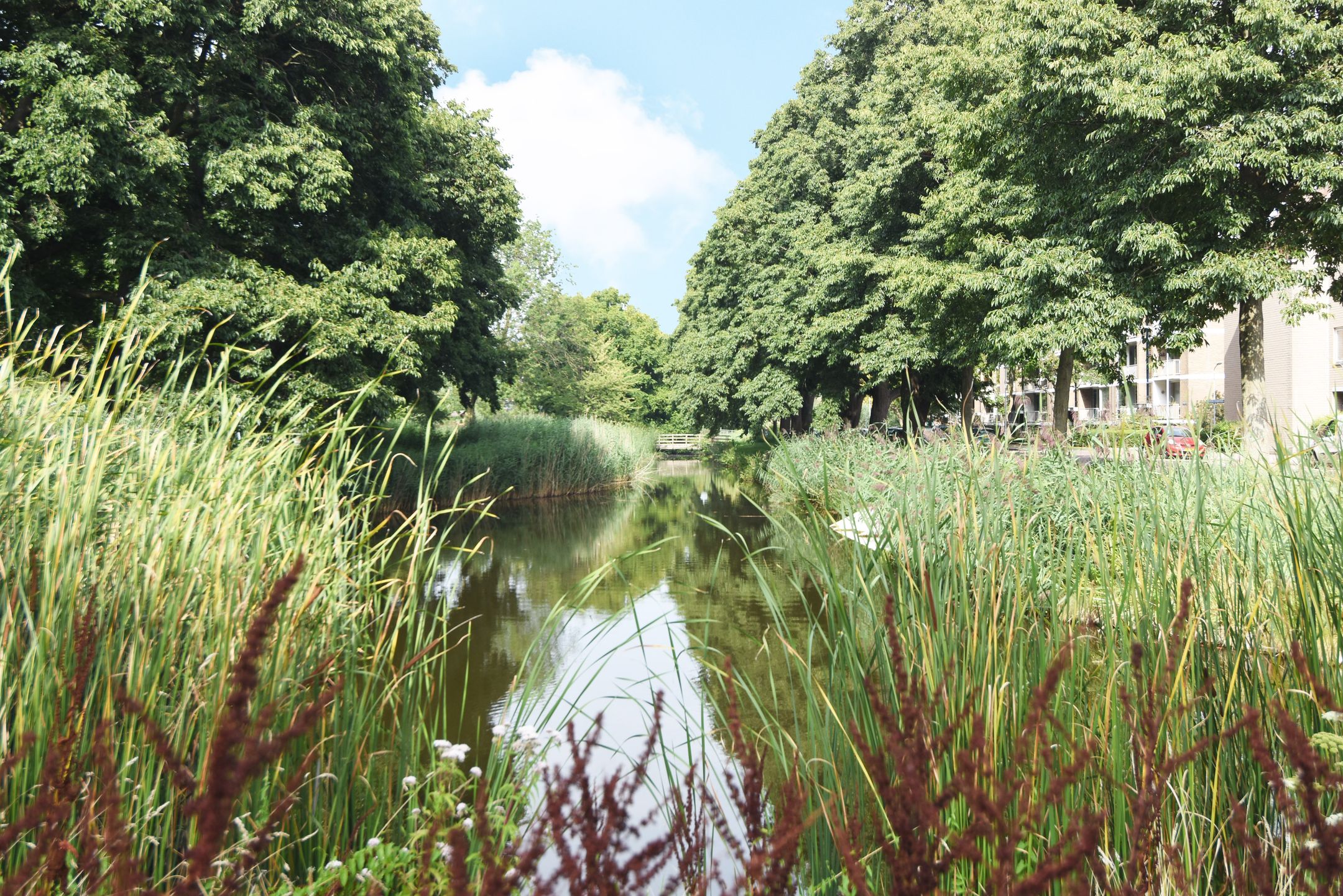 Foto 48 van Willem de Nobelaerlaan 23