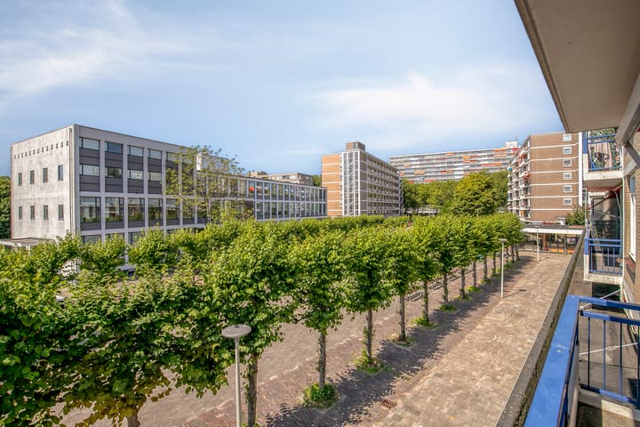 Foto 21 van Zwedenburg 115