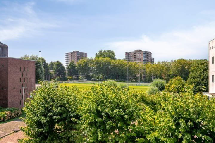 Foto 35 van Zwedenburg 115