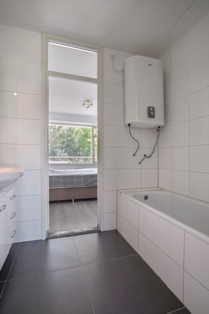 Foto 29 van Zwedenburg 115