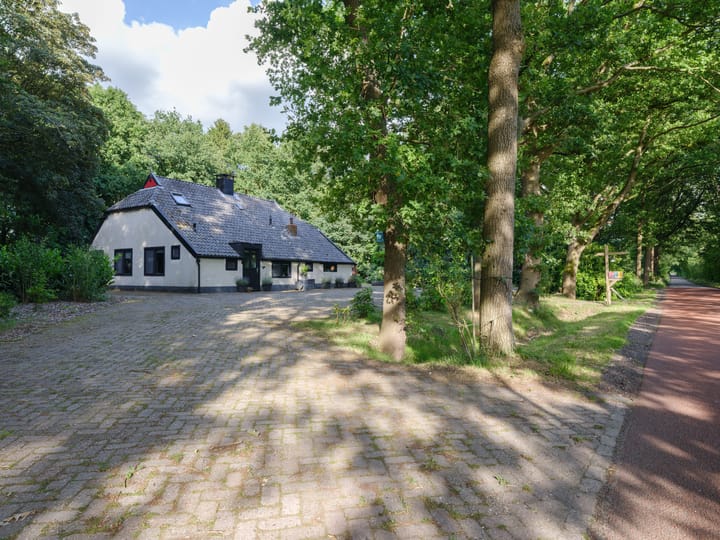 Photo 5 of Biskopsreed 7