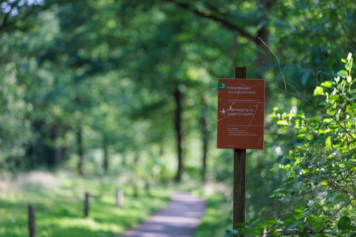 Photo 6 of Biskopsreed 7