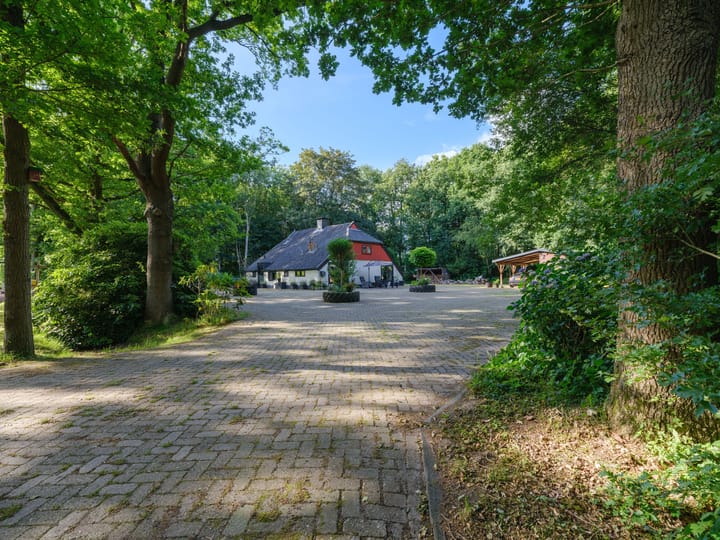 Photo 7 of Biskopsreed 7