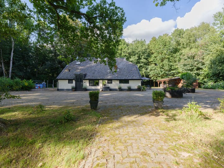 Photo 44 of Biskopsreed 7