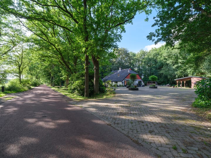 Photo 46 of Biskopsreed 7