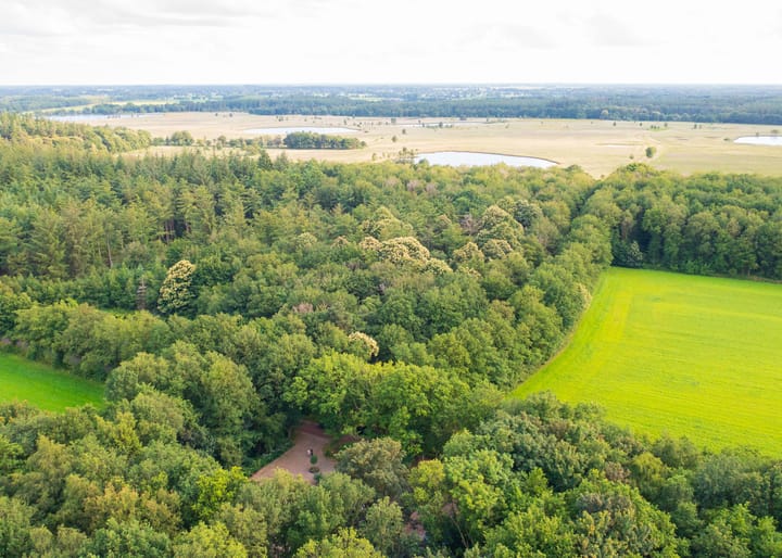 Photo 52 of Biskopsreed 7