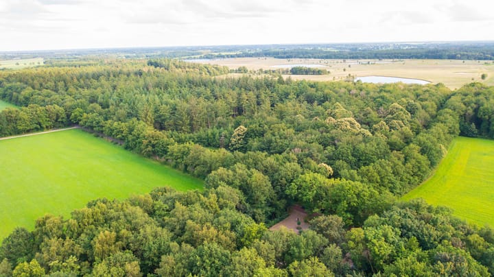 Photo 53 of Biskopsreed 7