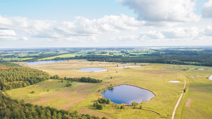 Photo 54 of Biskopsreed 7