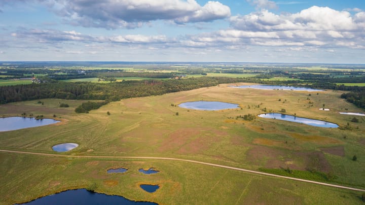 Photo 55 of Biskopsreed 7
