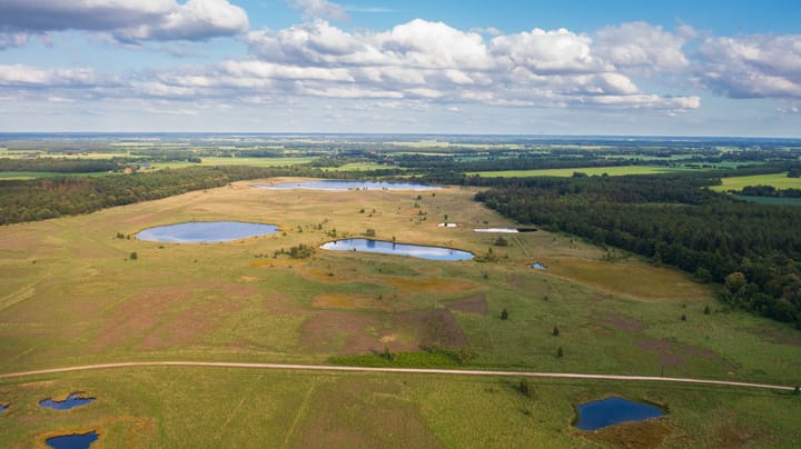 Photo 56 of Biskopsreed 7