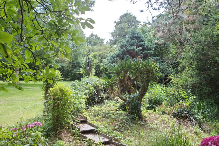 Foto 6 van Maasdijk 16