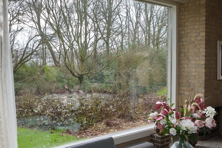 Foto 12 van Maasdijk 16