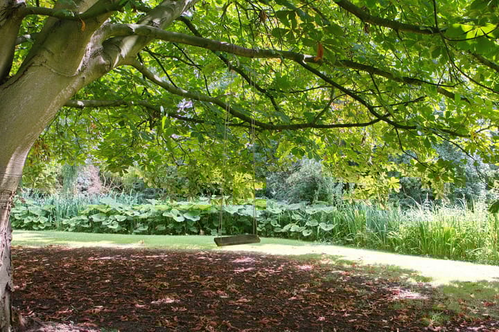 Foto 36 van Maasdijk 16