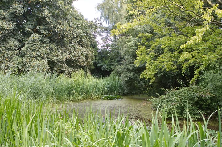 Foto 39 van Maasdijk 16