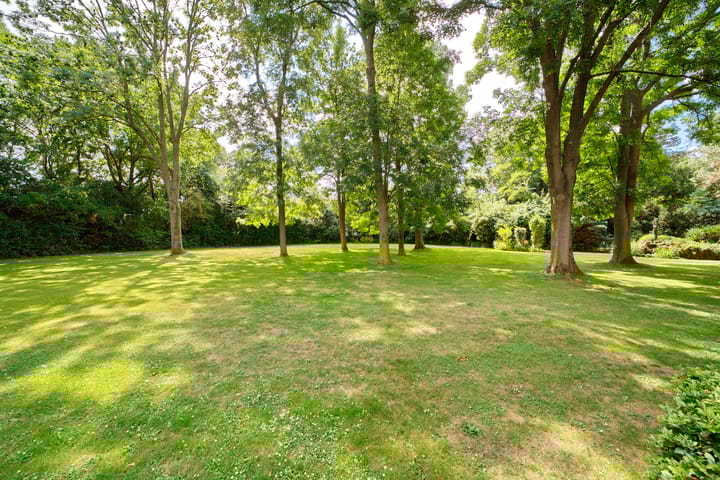 Foto 43 van Maasdijk 16