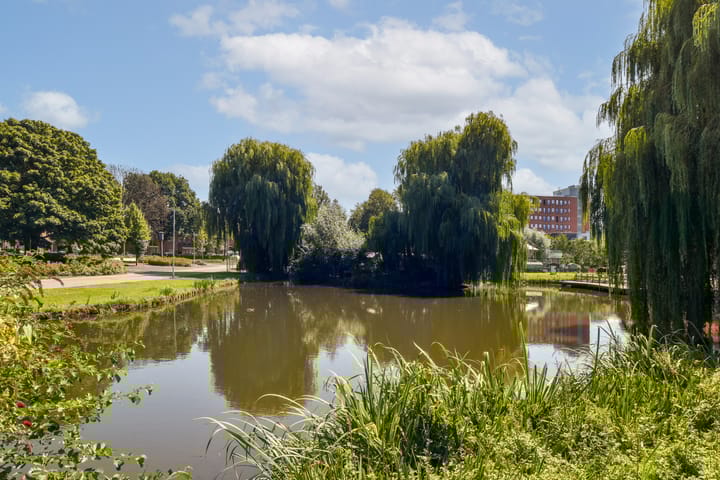 Photo 37 of Passage 43