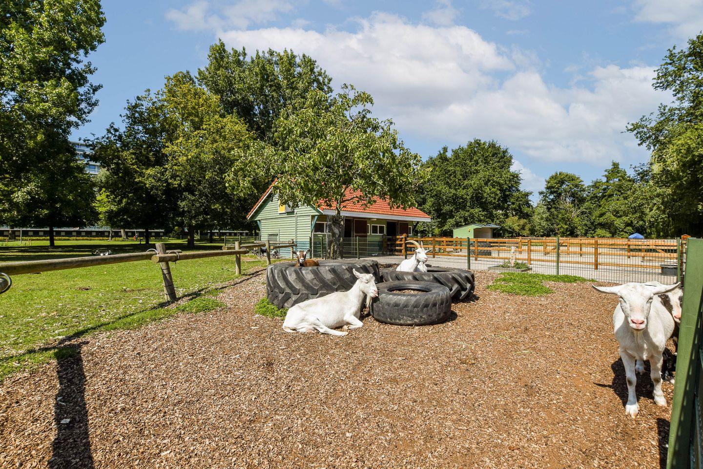 Photo 39 of Passage 43