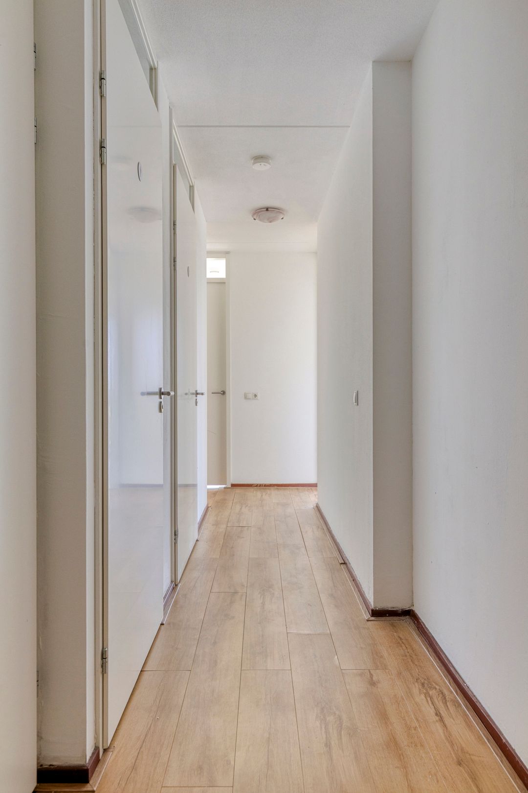 Foto 7 van Kaapstander 208