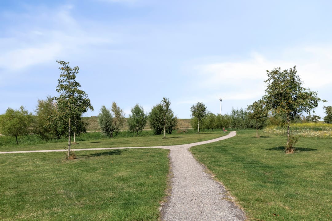 Foto 32 van Kaapstander 208