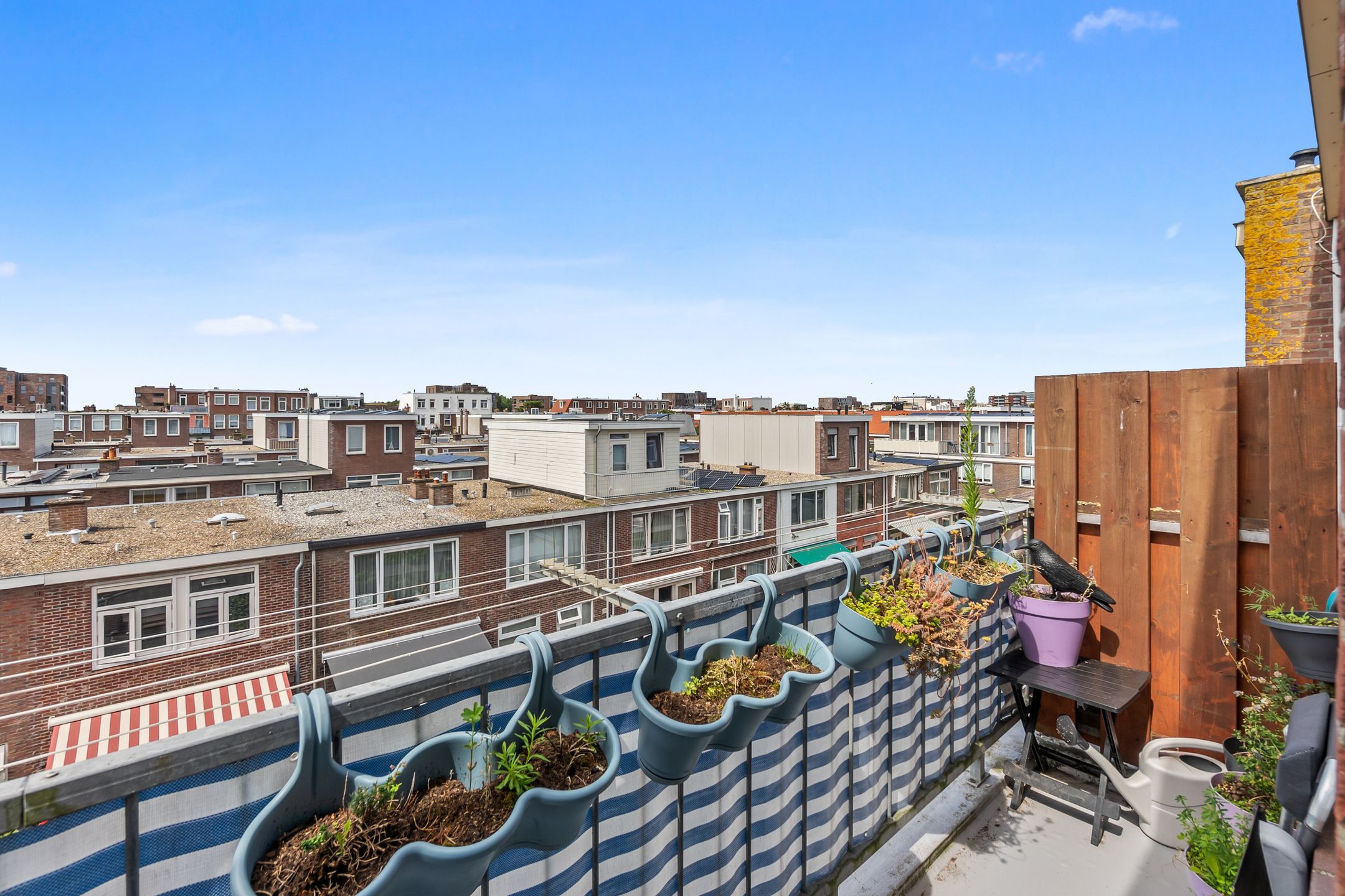 Foto 18 van Tholensestraat 75