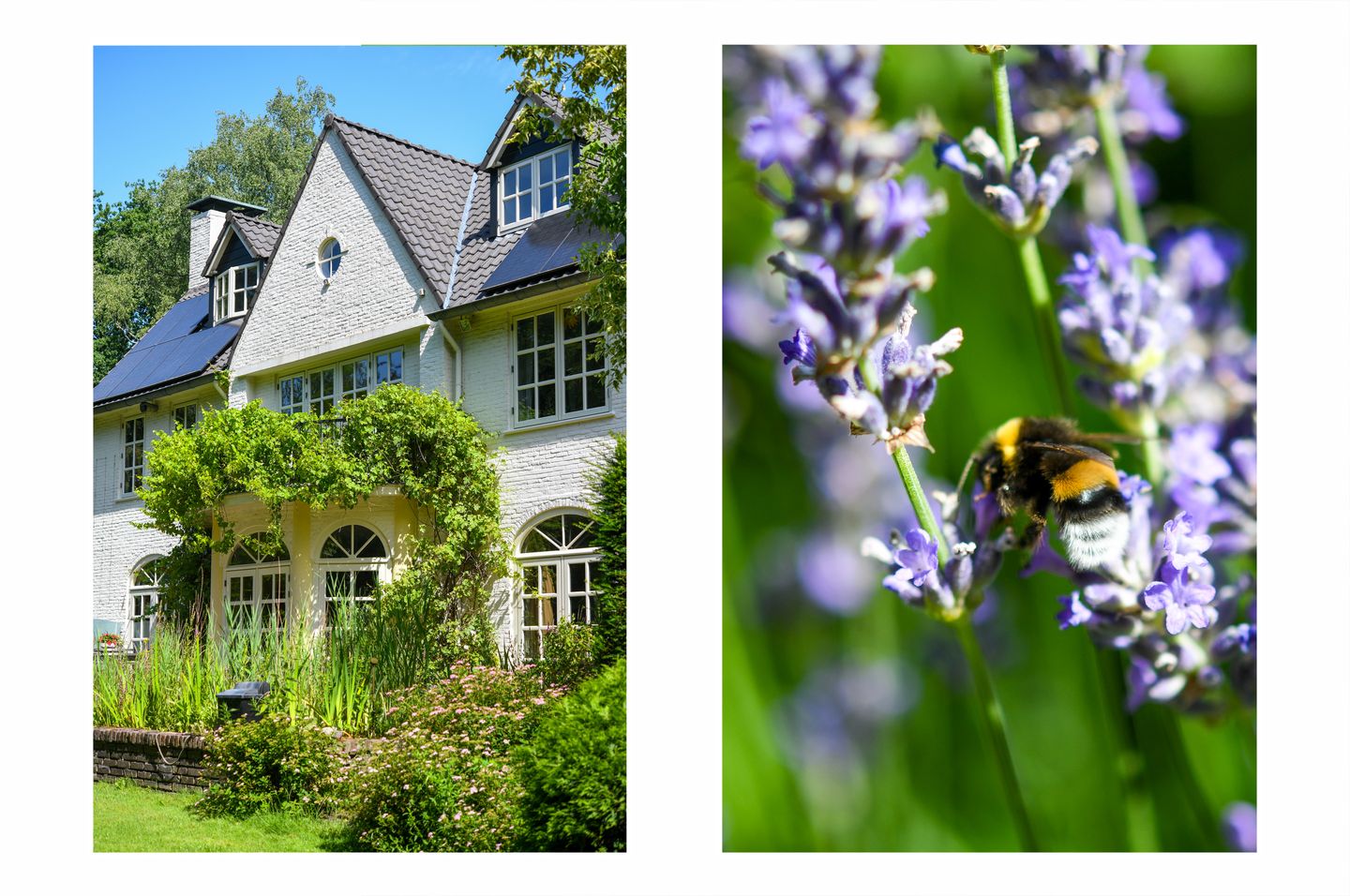 Foto 64 van Hilversumsestraatweg 5-A