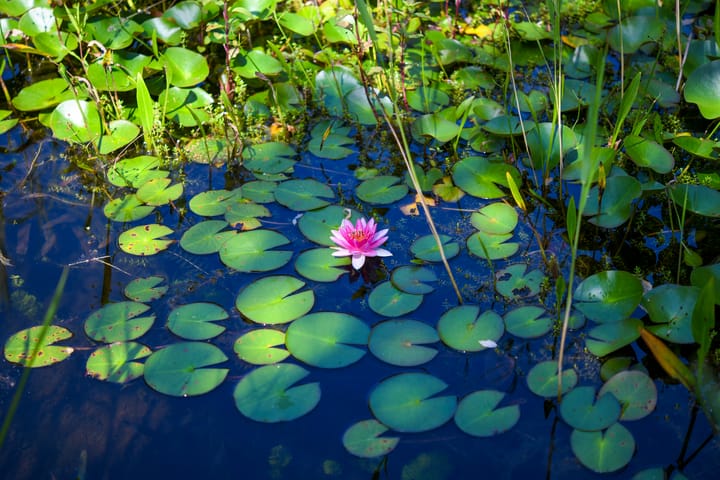 Photo 66 of Hilversumsestraatweg 5-A