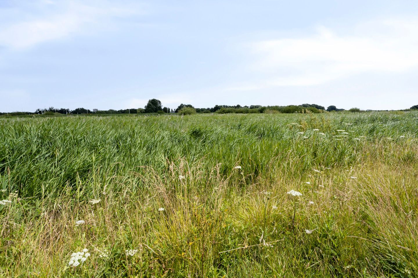 Foto 35 van Slingerdijk 3-A