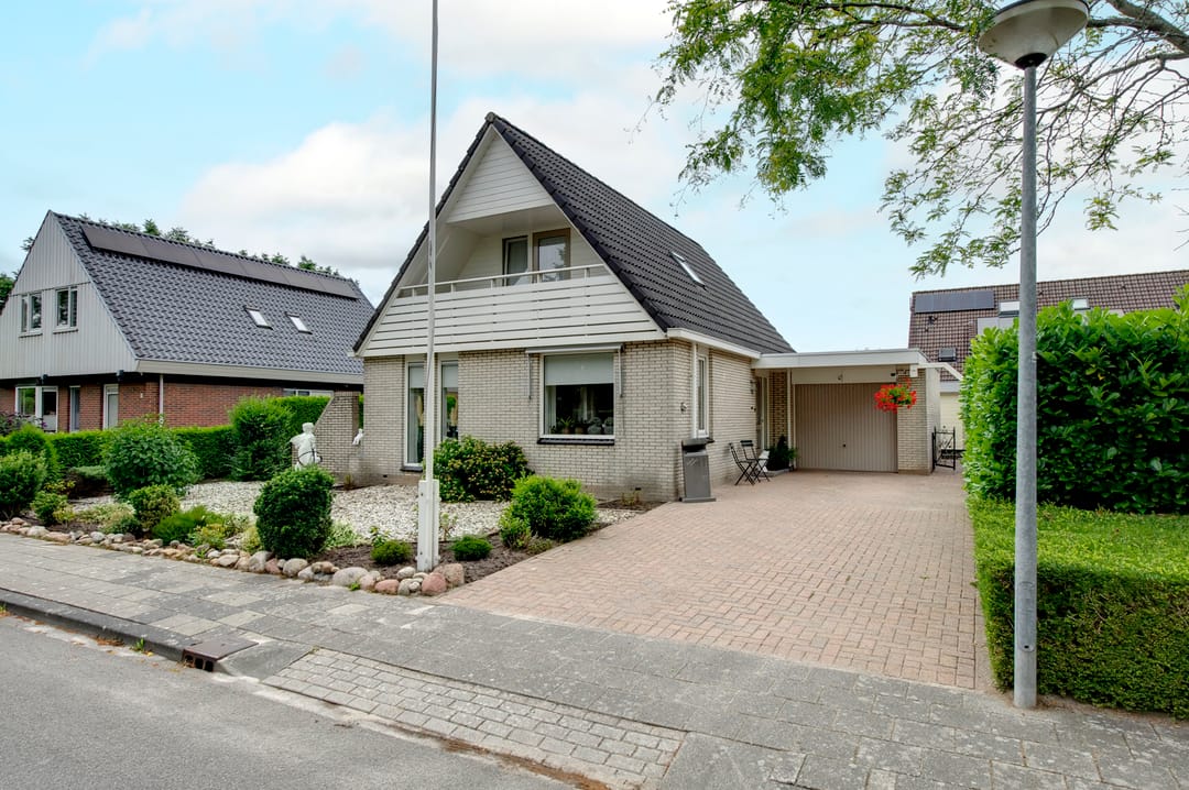 Foto 1 van Fluitekruid 27