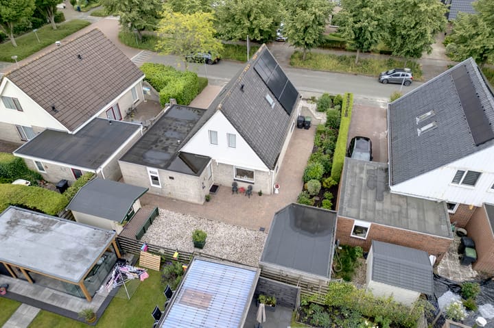 Foto 3 van Fluitekruid 27